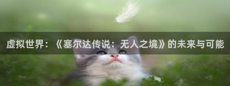 优贝娱乐少 6.9.2⑥87：虚拟世界：《塞尔达传说：无人之
