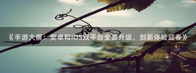 优贝娱乐上.93O79.判官团队：《手游大展：安卓和iOS双